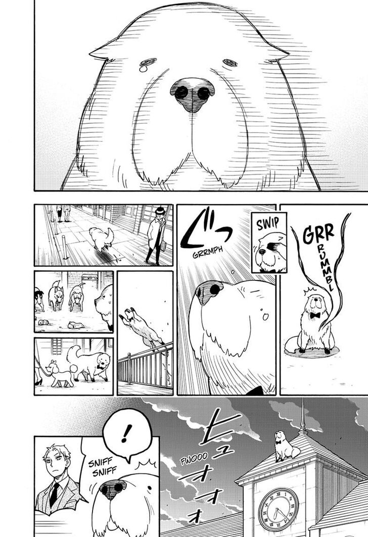 Spy x Family, Chapter 40 image 13